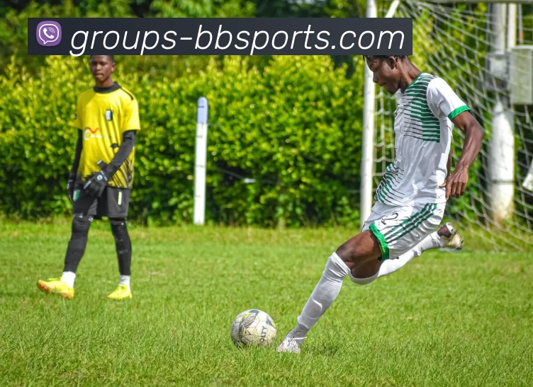 BBSport体育APP下载服务体系